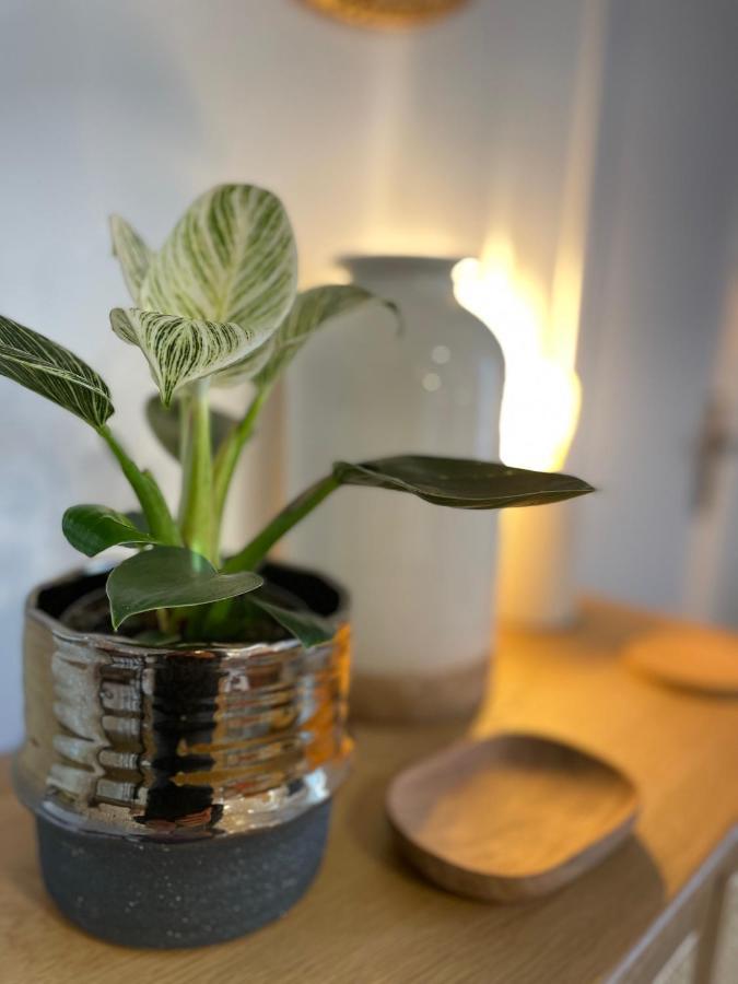 Canopee - Appartement - Hyper Centre Ville Кимпер Екстериор снимка